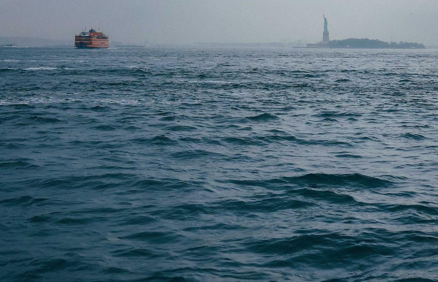 Hands carefully tending to young plant shoots