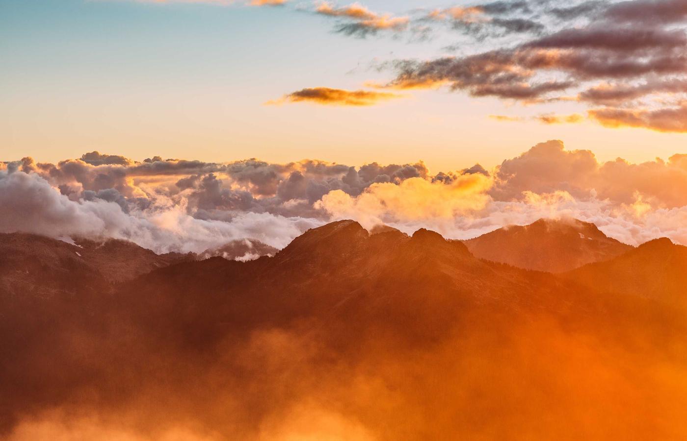 Close-up of freshly harvested carrots and other vegetables
