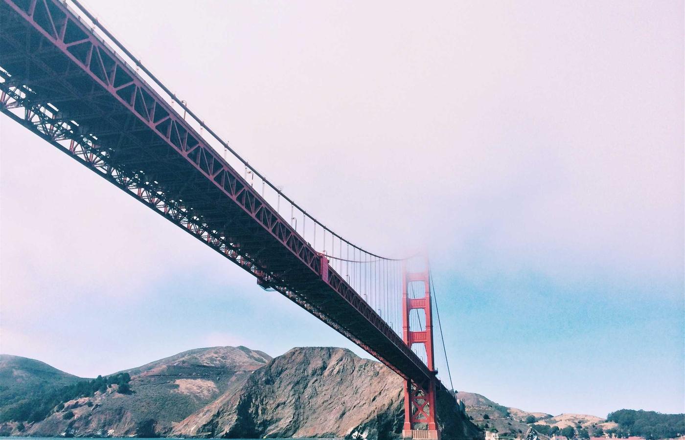 A lush rooftop garden in Toronto