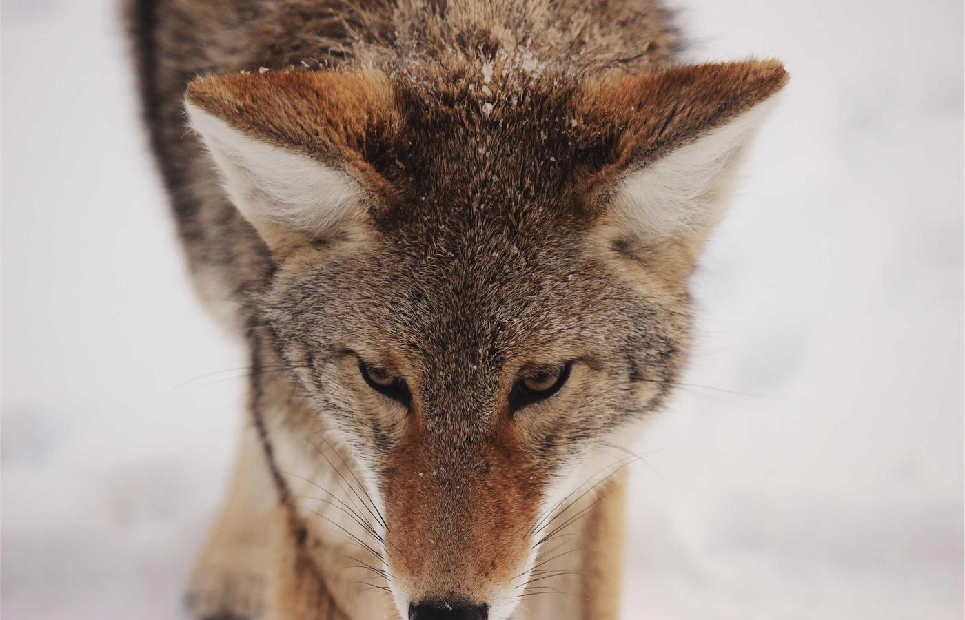 Detailed shot of vegetables growing in a rooftop garden