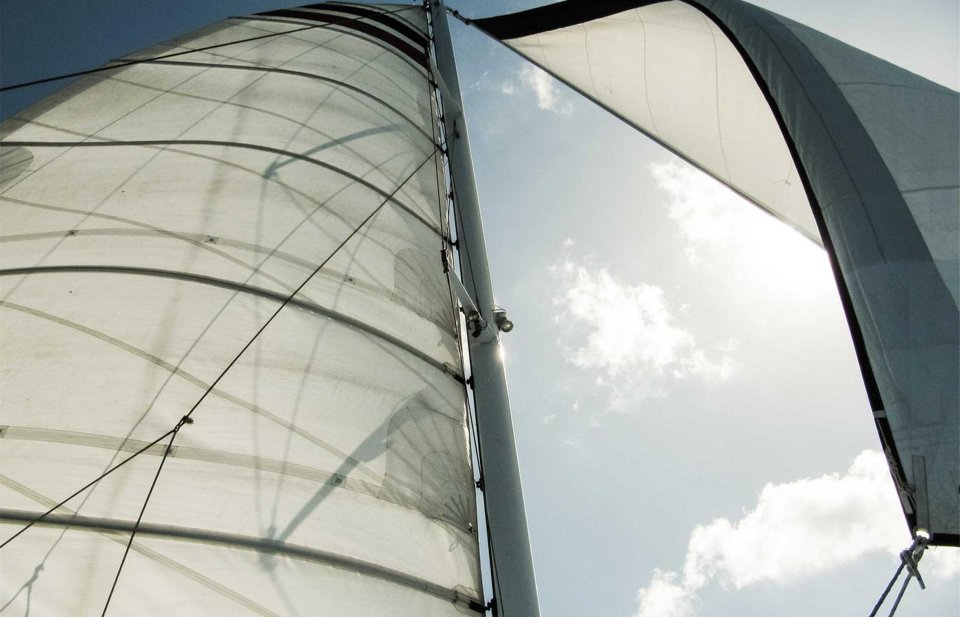 Portrait of David Chen