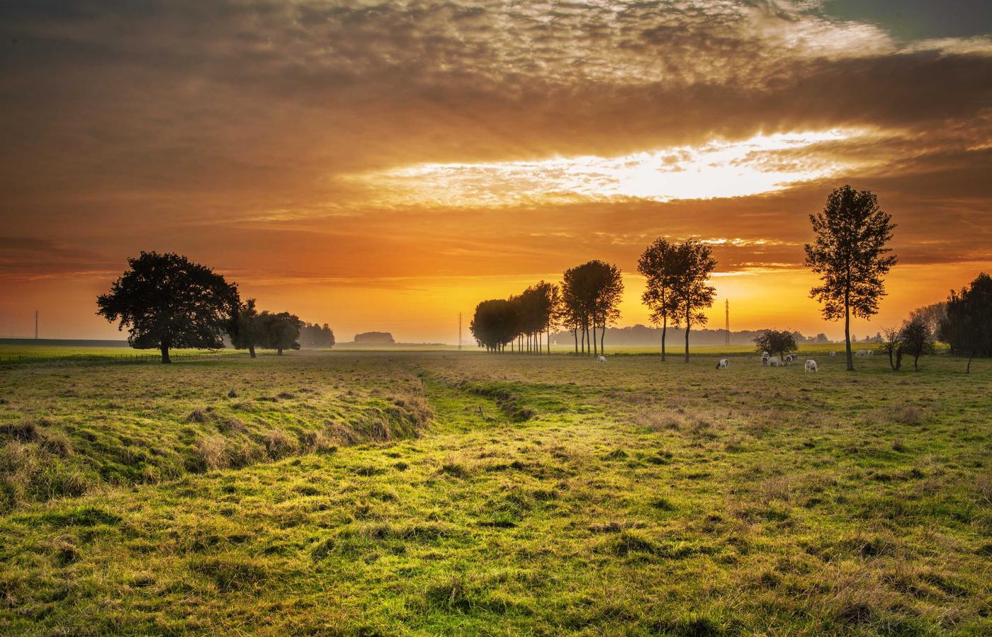 Portrait of Chayton Lefthand