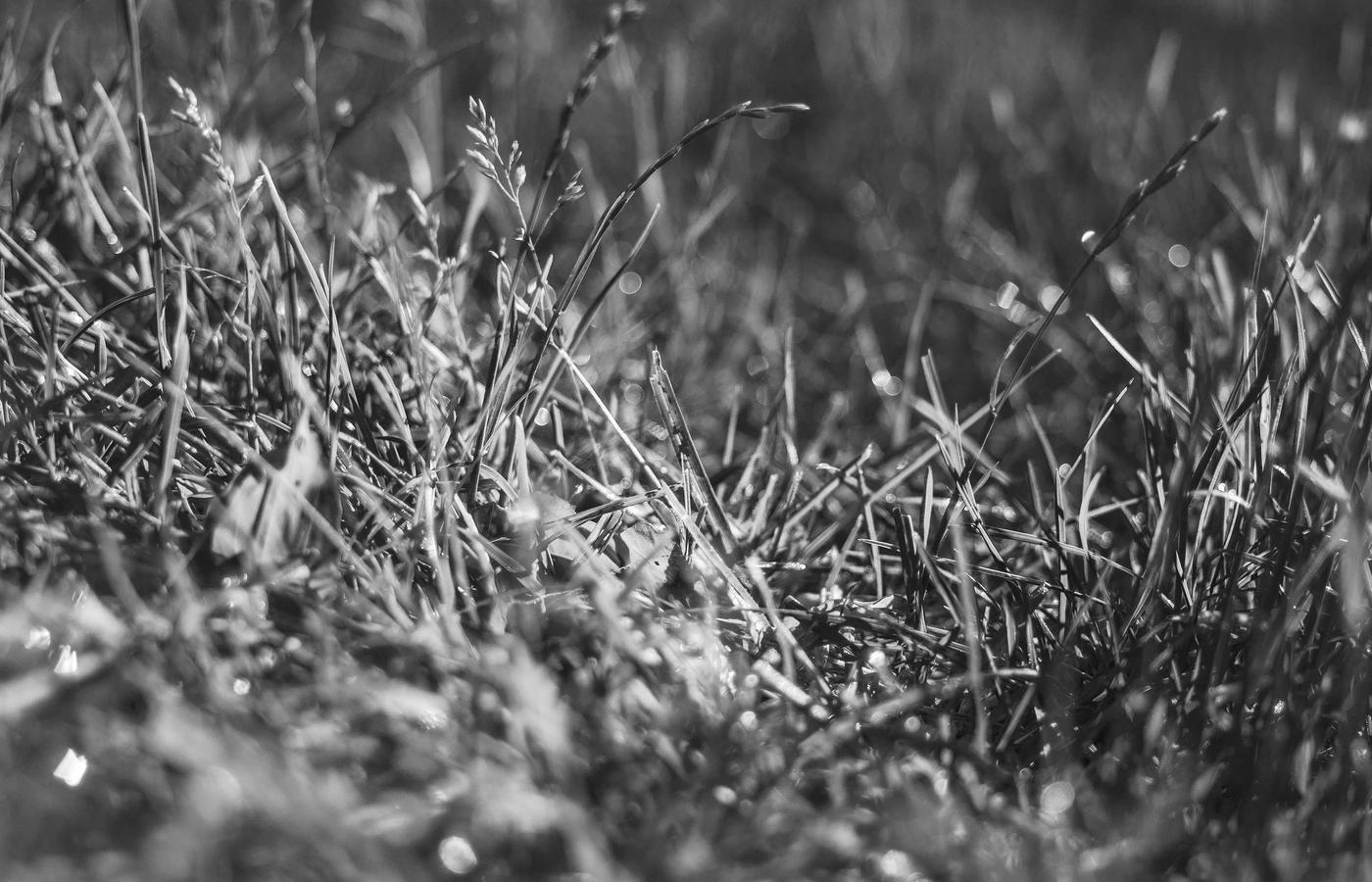 Hands holding freshly harvested vegetables, representing Indigenous food practices